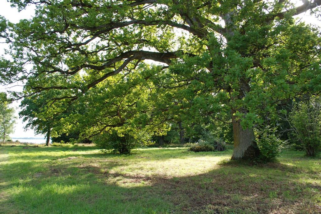 Kristbergs Rusthall Borensberg Zewnętrze zdjęcie