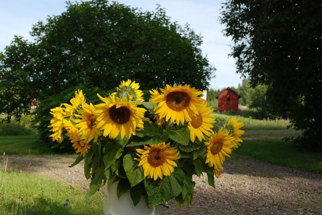 Bed and Breakfast Kristbergs Rusthall Borensberg Zewnętrze zdjęcie